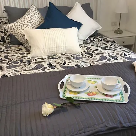 Luxury Bright Flat Downtown Apartment